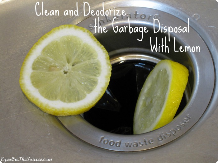 Blog Mollywood Maids